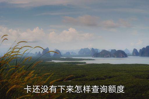 卡還沒有下來怎樣查詢額度