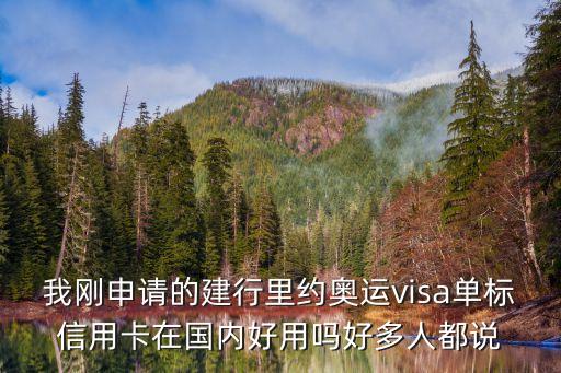 我剛申請的建行里約奧運visa單標信用卡在國內好用嗎好多人都說