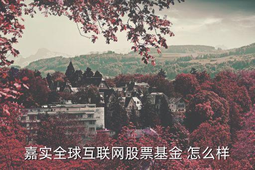 嘉實(shí)全球互聯(lián)網(wǎng) 怎么樣，嘉實(shí)全球互聯(lián)網(wǎng)股票基金 怎么樣