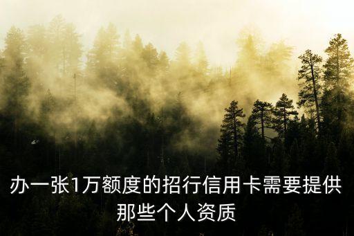 辦一張1萬額度的招行信用卡需要提供那些個人資質(zhì)
