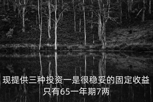 現(xiàn)提供三種投資一是很穩(wěn)妥的固定收益只有65一年期7兩