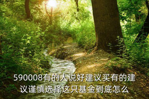 590008有的人說好建議買有的建議謹(jǐn)慎選擇這只基金到底怎么
