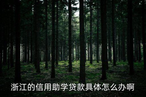 浙江生源地貸款怎么辦，在浙江湖州哪家銀行能辦生源地助學(xué)貸款啊