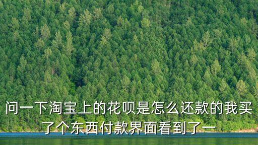 問(wèn)一下淘寶上的花唄是怎么還款的我買了個(gè)東西付款界面看到了一