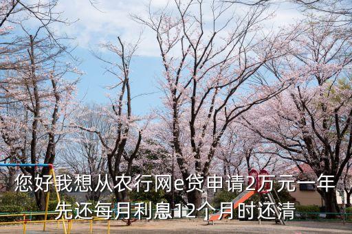 您好我想從農(nóng)行網(wǎng)e貸申請2萬元一年先還每月利息12個(gè)月時(shí)還清