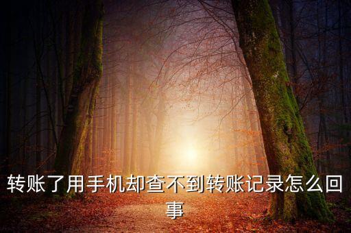 轉(zhuǎn)賬了用手機卻查不到轉(zhuǎn)賬記錄怎么回事