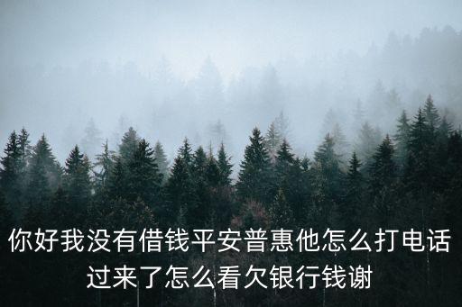 你好我沒有借錢平安普惠他怎么打電話過來了怎么看欠銀行錢謝