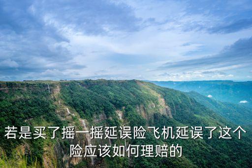 微信買的延誤險怎么賠，微信延誤險怎么理賠