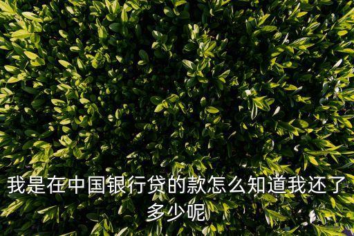 我是在中國銀行貸的款怎么知道我還了多少呢