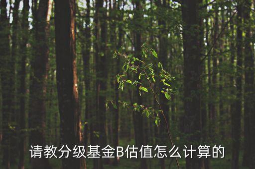 請教分級基金B(yǎng)估值怎么計算的