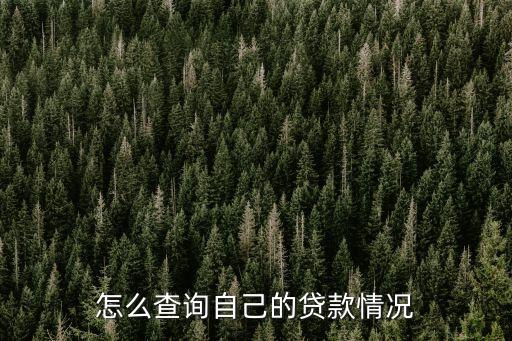 怎么查詢自己的貸款情況