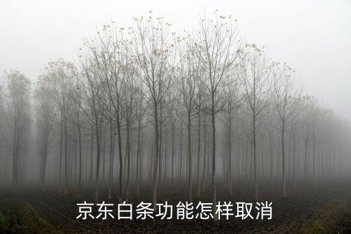 怎么關(guān)閉京東校園白條，京東白條功能怎樣取消