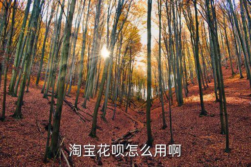 天貓螞蟻花唄怎么用，天貓怎么使用花唄付款