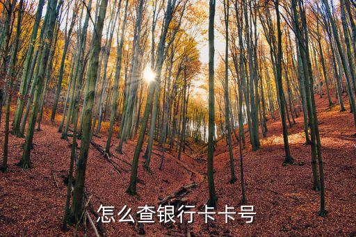怎么查銀行卡卡號