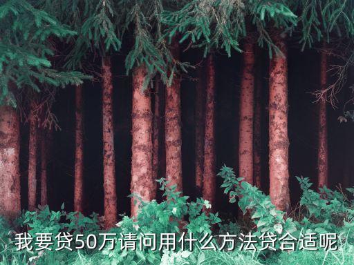 我想貸款50萬 怎么貸款嗎，想借貸50萬有什么方法