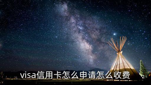 vs卡是怎么收費的，VS VIP點卡多少錢一張