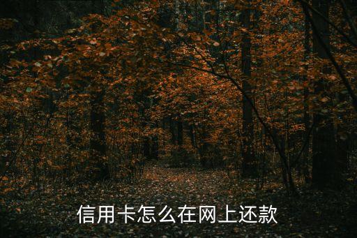 信用卡怎么在網(wǎng)上還款