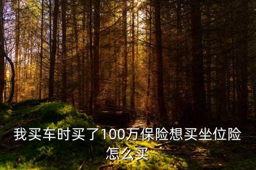車子座位險(xiǎn)怎么買，我買車時(shí)買了100萬(wàn)保險(xiǎn)想買坐位險(xiǎn)怎么買