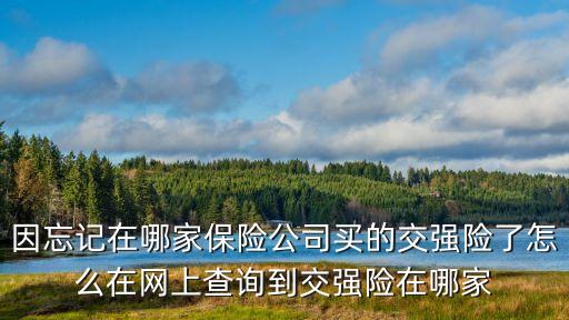 車險忘了啥險了怎么查，如何查詢忘記的保險公司保單