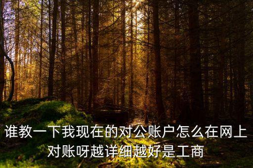 誰教一下我現(xiàn)在的對公賬戶怎么在網(wǎng)上對賬呀越詳細(xì)越好是工商