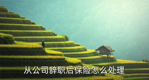 跳槽后的社保怎么辦，從公司辭職后保險(xiǎn)怎么處理