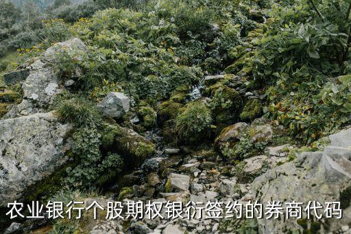農(nóng)業(yè)銀行個(gè)股期權(quán)銀衍簽約的券商代碼