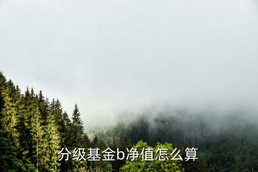 分級基金b怎么估值，分級基金b凈值怎么算