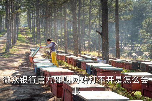 微眾銀行官方理財(cái)網(wǎng)站打不開(kāi)是怎么會(huì)事