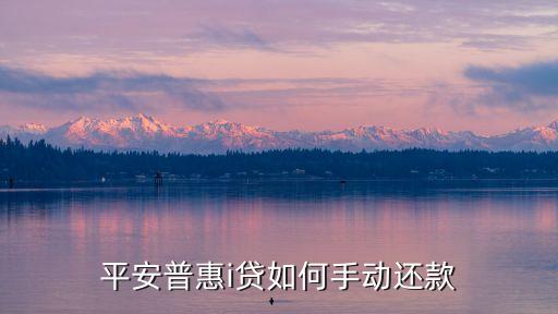平安普惠的i貸怎么還，平安普惠i貸如何手動(dòng)還款