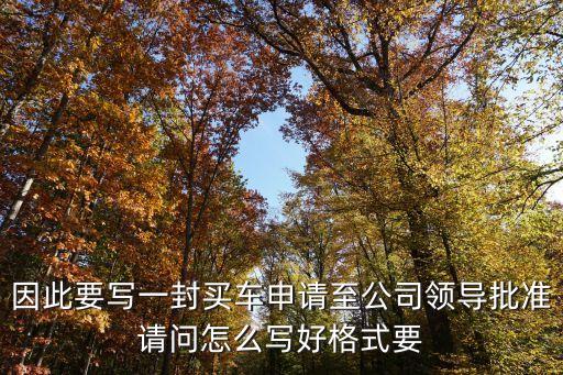 因此要寫一封買車申請至公司領(lǐng)導(dǎo)批準(zhǔn)請問怎么寫好格式要