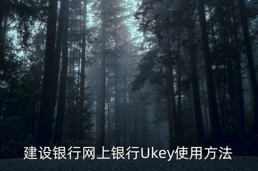 手機(jī)銀行音頻key怎么用，開通了網(wǎng)上銀行key怎么使用