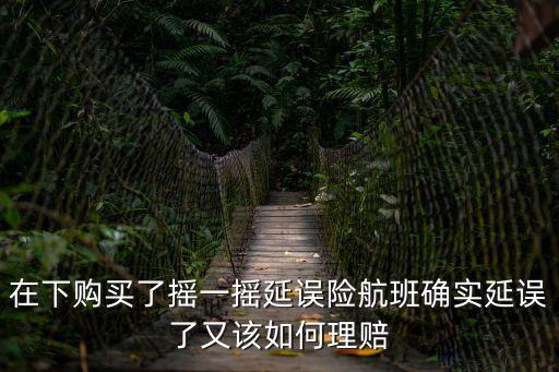 在下購買了搖一搖延誤險航班確實延誤了又該如何理賠