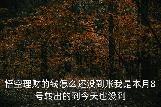 悟空理財(cái)?shù)腻X怎么還沒到賬我是本月8號(hào)轉(zhuǎn)出的到今天也沒到