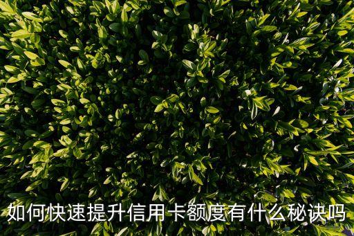 如何快速提升信用卡額度有什么秘訣嗎