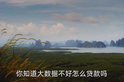大數(shù)據(jù)有問題怎么借錢，你知道大數(shù)據(jù)不好怎么貸款嗎
