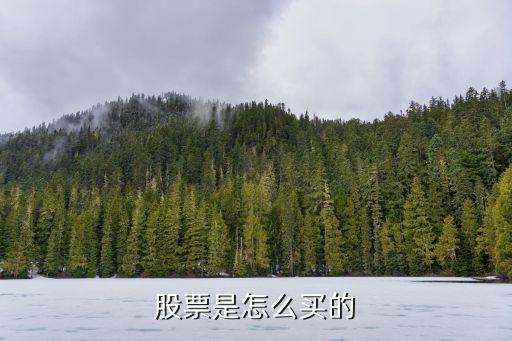 股票是怎么買入，股票是怎么買的