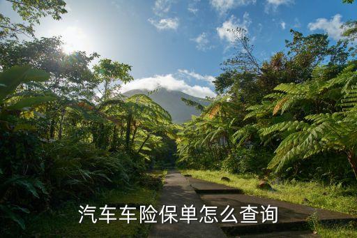 汽車出險(xiǎn)怎么查詢系統(tǒng)，汽車保險(xiǎn)理賠記錄怎么查詢