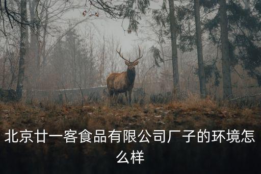 理想寶公司怎么樣的，理想集團(tuán)公司是做什么的是什么樣的銷售方法