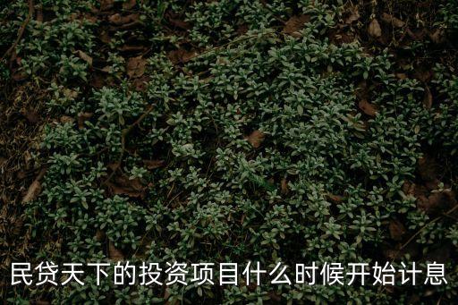 民貸天下的投資項(xiàng)目什么時(shí)候開始計(jì)息