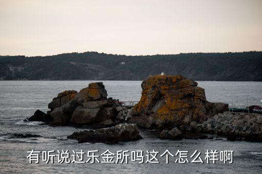 合肥樂金所怎么樣，P2P借貸平臺樂金所怎么樣