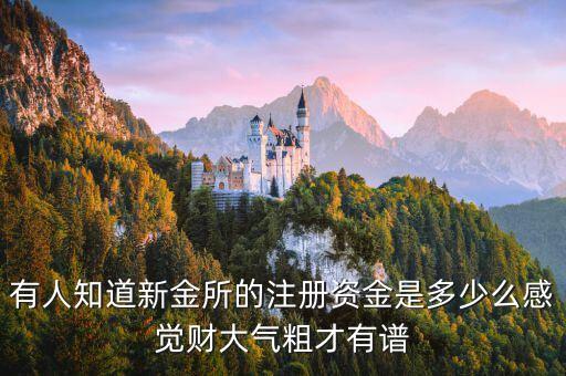 新金所怎么樣，有人知道新金所的注冊資金是多少么感覺財大氣粗才有譜