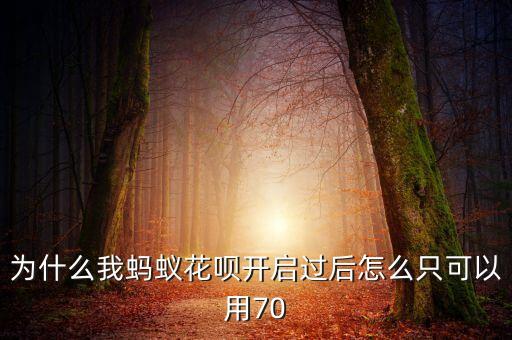 為什么我螞蟻花唄開啟過后怎么只可以用70