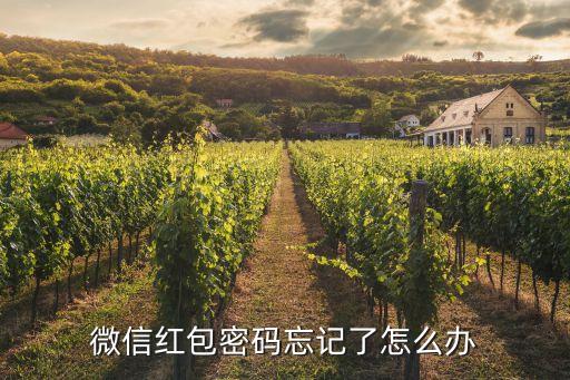 微信發(fā)紅包的密碼忘記了怎么辦，微信紅包密碼忘記了怎么辦