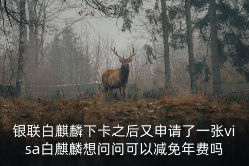 銀聯(lián)白麒麟下卡之后又申請(qǐng)了一張visa白麒麟想問問可以減免年費(fèi)嗎