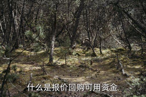 什么是報(bào)價(jià)回購(gòu)可用資金