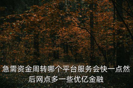 急需資金周轉(zhuǎn)哪個(gè)平臺(tái)服務(wù)會(huì)快一點(diǎn)然后網(wǎng)點(diǎn)多一些優(yōu)億金融