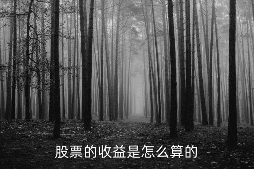 個股受益怎么算，股票的獲利怎么算