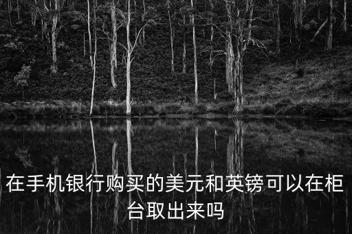 在手機(jī)銀行購買的美元和英鎊可以在柜臺取出來嗎