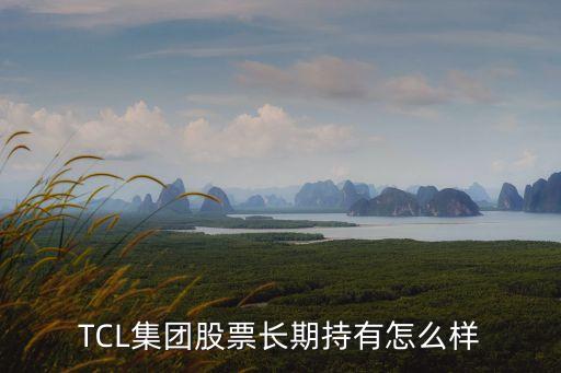 TCL集團(tuán)股票長(zhǎng)期持有怎么樣