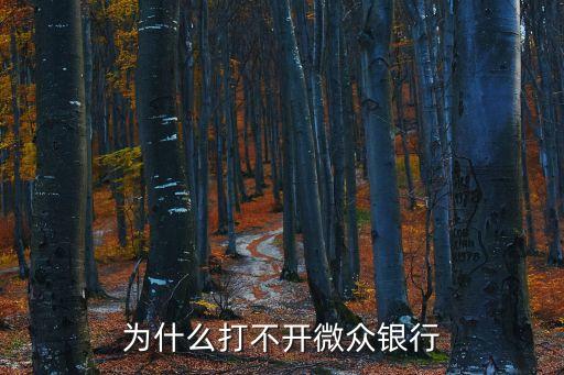 微金打不開(kāi)怎么辦理，騰訊微證券老是打不開(kāi)怎樣辦